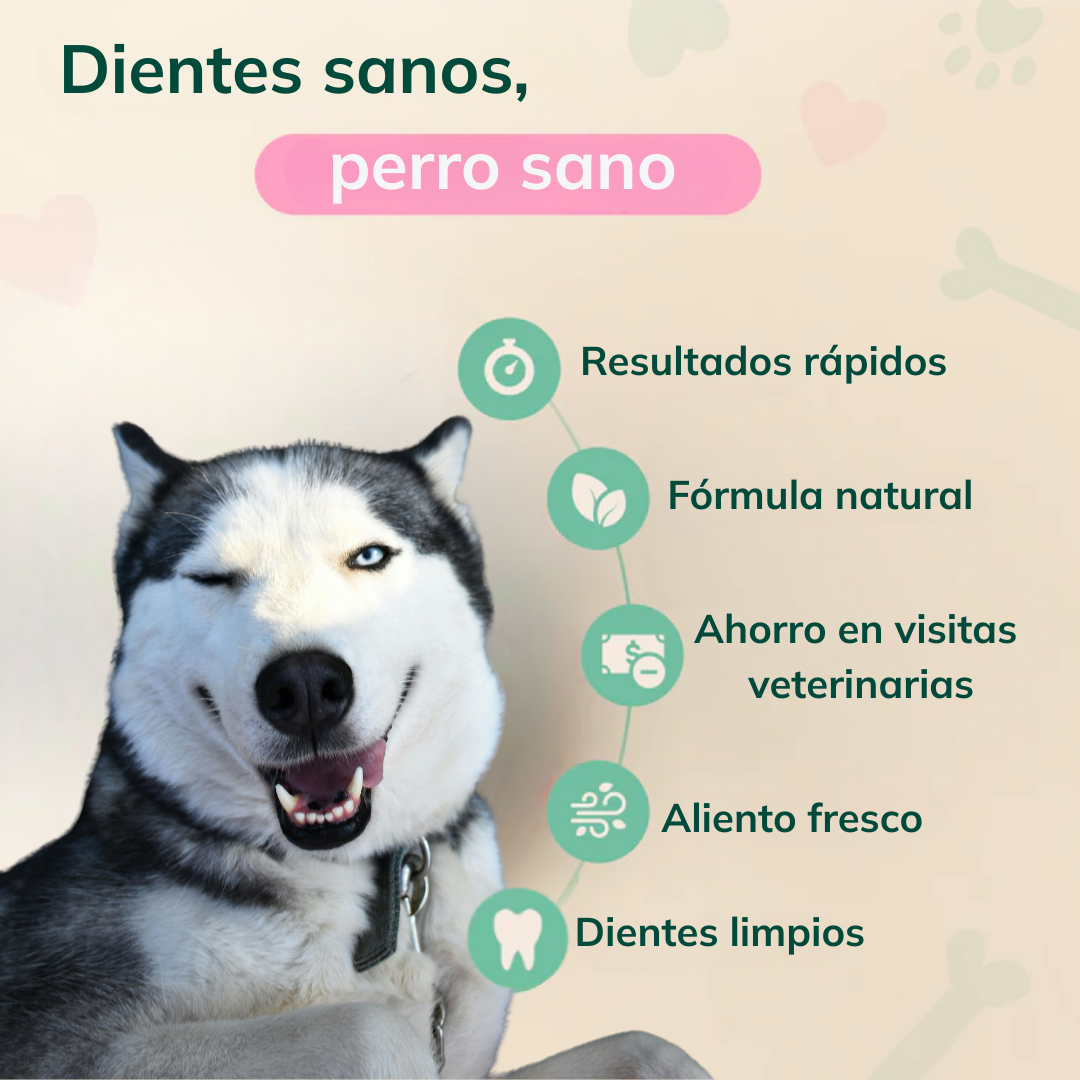 LAGA Oral Pro