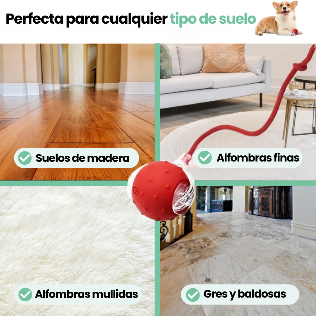 Pelota Interactiva LAGA