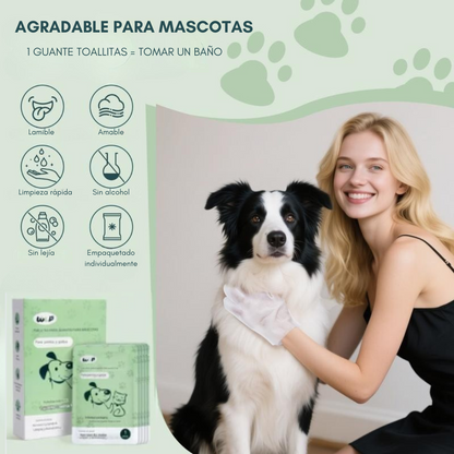 20 Guantes húmedos para mascotas +20 GRATIS