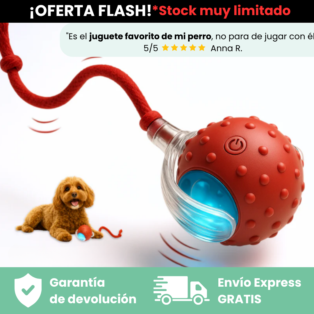 Pelota Interactiva LAGA