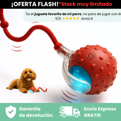 Pelota Interactiva LAGA