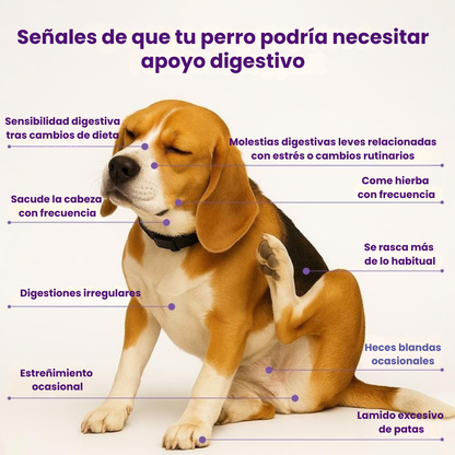 Suplemento LAGA™ - 120 snacks