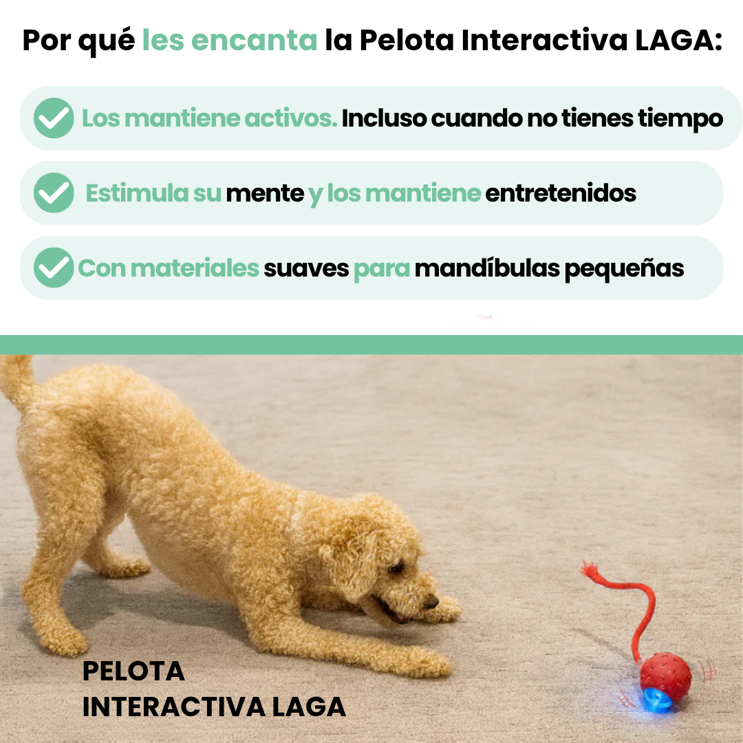Pelota Interactiva LAGA