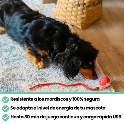 Pelota Interactiva LAGA