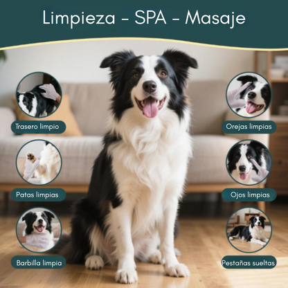 20 Guantes húmedos para mascotas +20 GRATIS