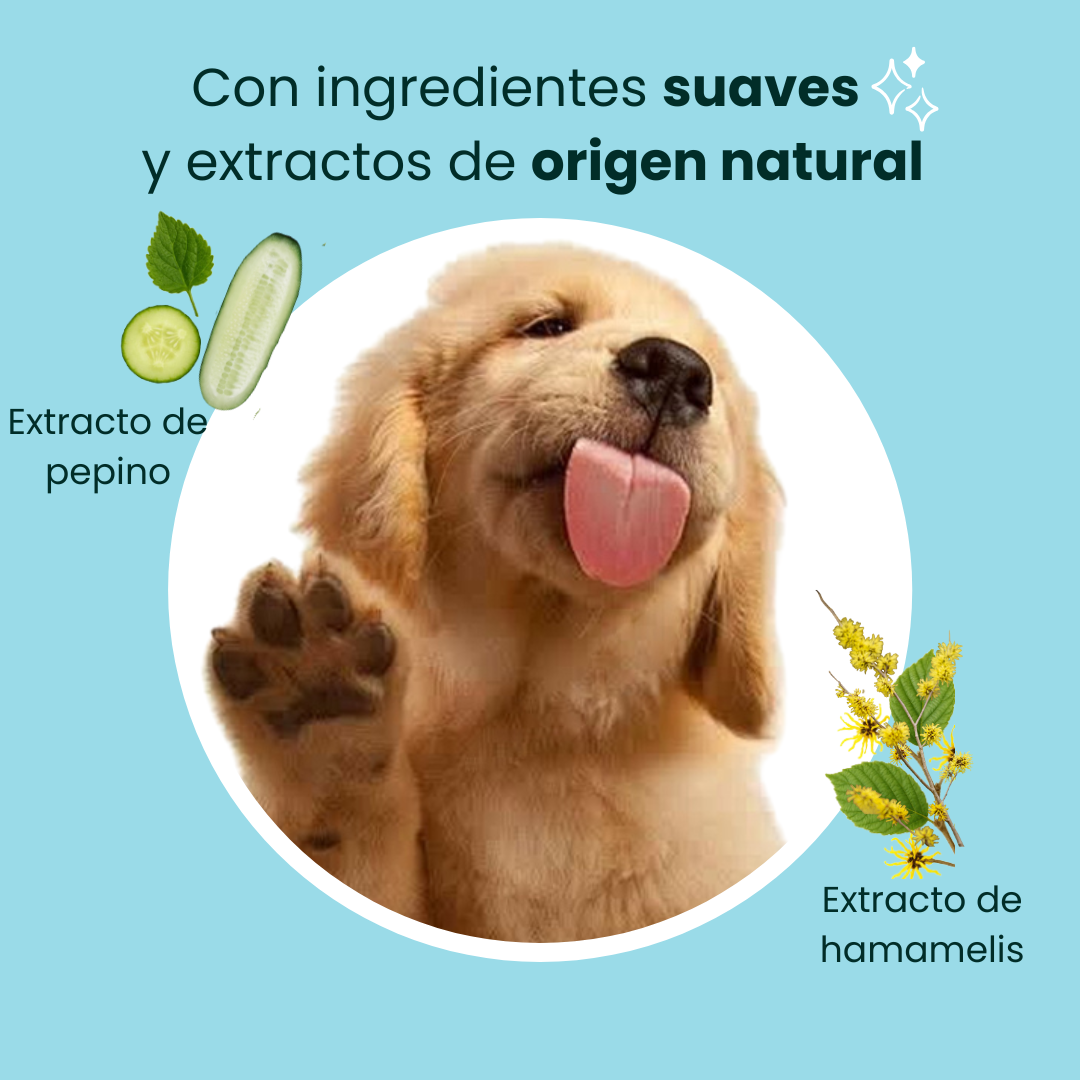 Espuma limpiadora de patas sin enjuague