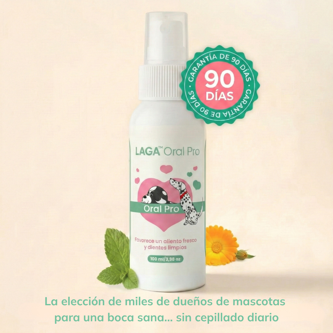 LAGA Oral Pro