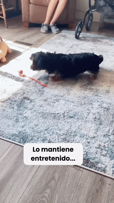 Pelota Interactiva LAGA