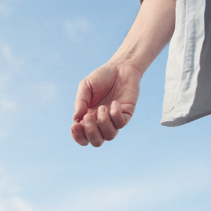 Suplemento LAGA™ - 120 snacks