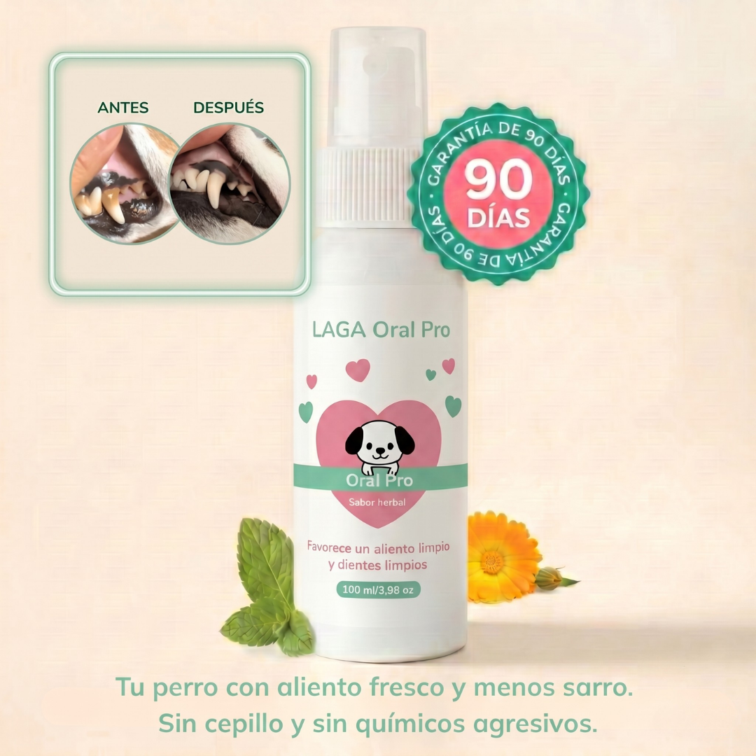 LAGA Oral Pro